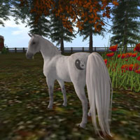 White horse with flowing tail poses against colorful natural background.